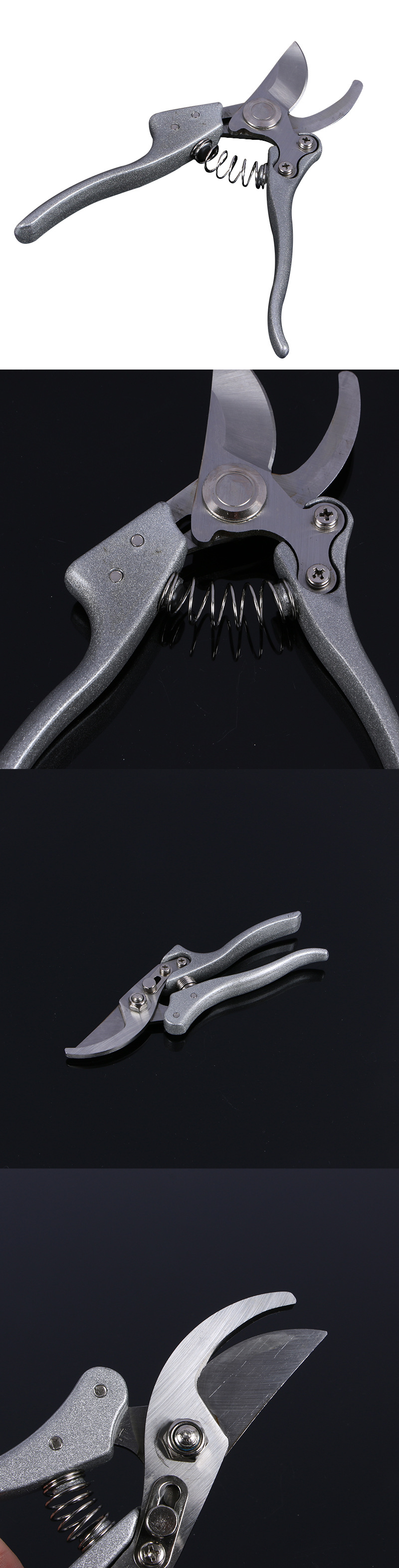 18142075C%20%281%29.png